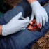 Аппликатор гемостатический с гранулами Rhino Rescue в Архангельске хитозановый