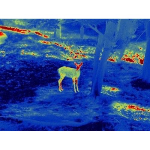 Прицел тепловизионный GUIDE TS450 в Архангельске
